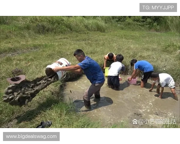 在e尊真人平台体验安全公平的真人游戏环境，尽情享受纯粹的娱乐乐趣