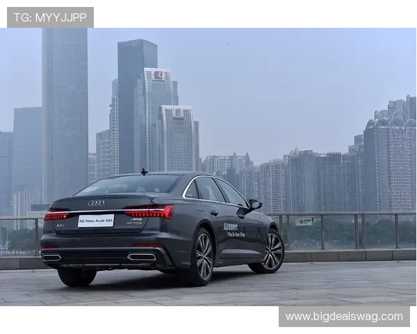 分析evo真人平台怎么样的客户支持和售后服务是否及时