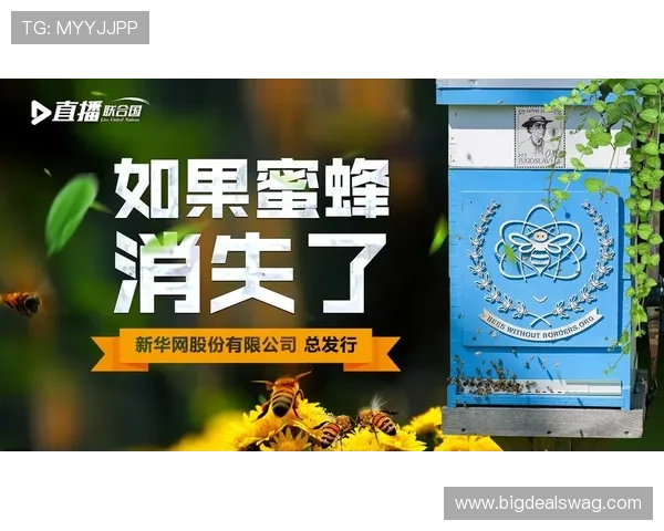 UG环球视讯官网客户服务体系详解及常见问题解决方案推荐